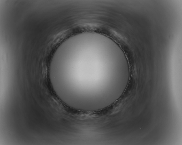 X0000085261061200703301828