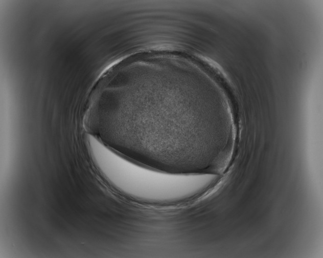 X0000085261065200703301828