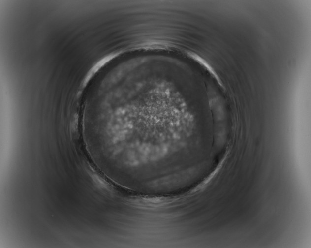 X0000085261066200703301828