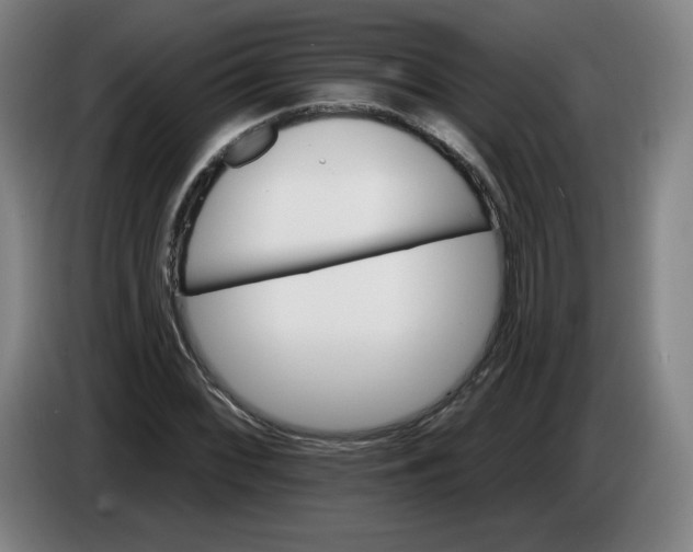 X0000085261068200703301827