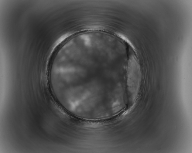 X0000085261071200703301827