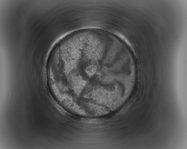 X0000085261072200703301827