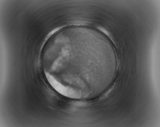 X0000085261074200703301827