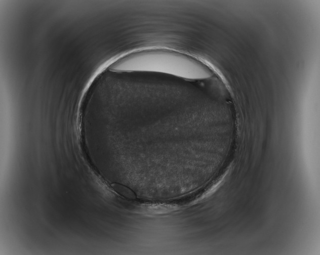 X0000085261077200703301827