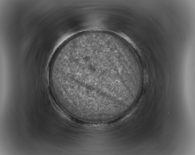 X0000085261078200703301827