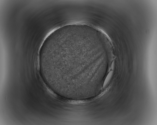 X0000085261079200703301827