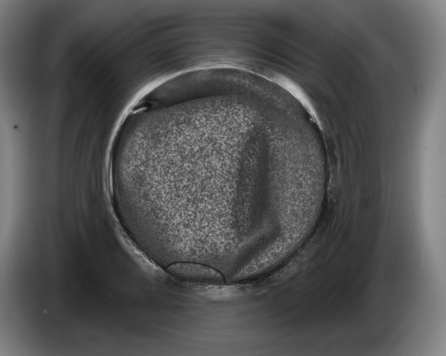 X0000085261080200703301827