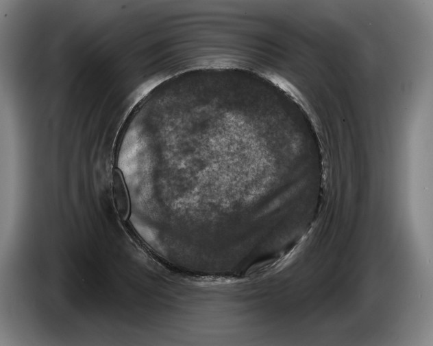 X0000085261081200703301827