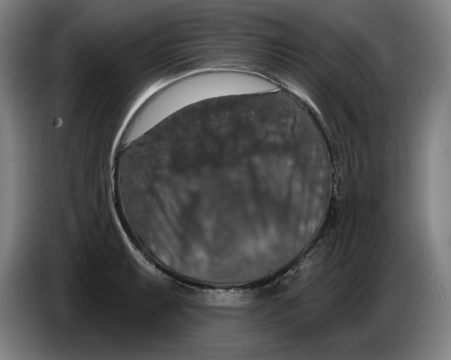 X0000085261087200703301827