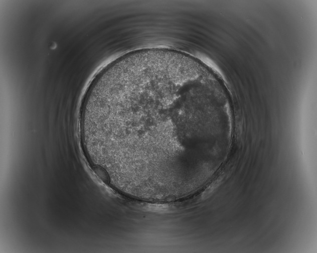 X0000085261088200703301827