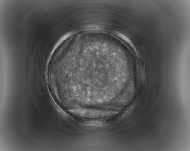 X0000085261090200703301827