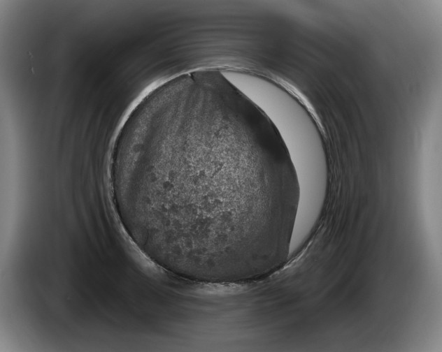 X0000085261091200703301827