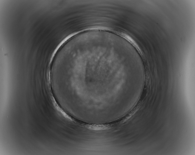 X0000085261092200703301827