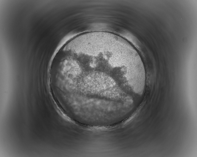 X0000085261094200703301827