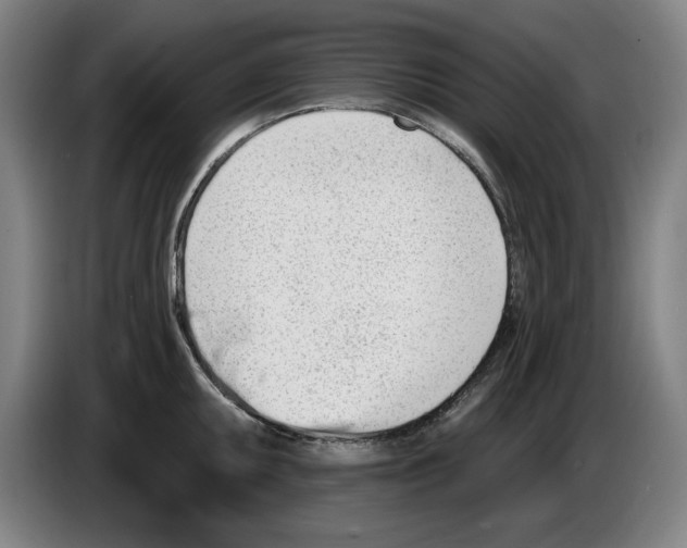 X0000085261095200703301827