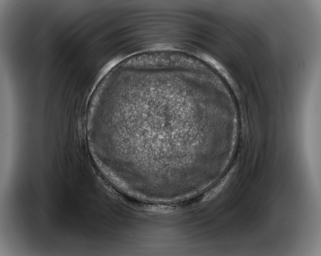 X0000085261097200703301827