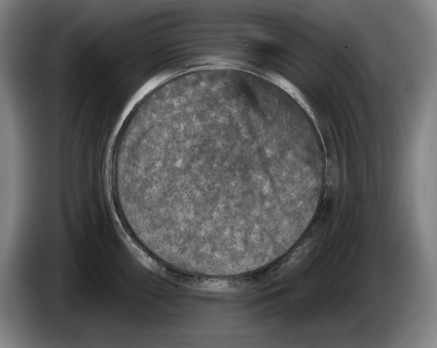 X0000085261098200703301827