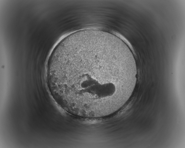 X0000085261099200703301827