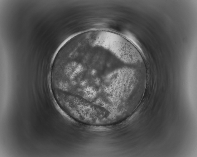 X0000085261100200703301827