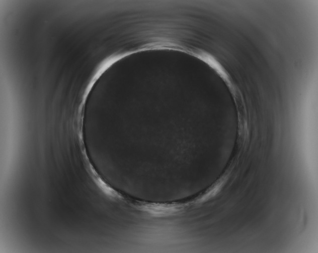 X0000085261102200703301827