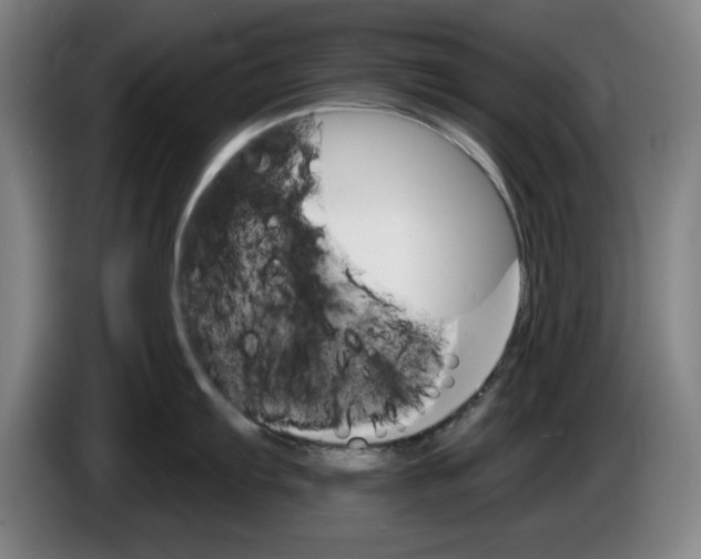 X0000085261103200703301827