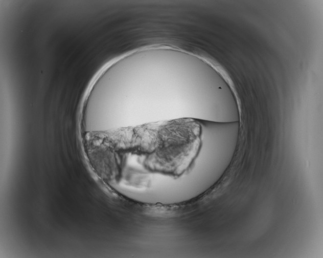 X0000085261104200703301827