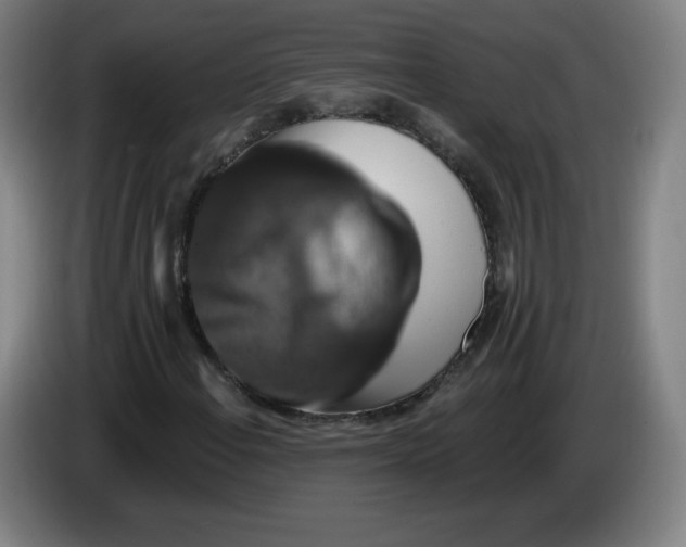 X0000085261108200703301826