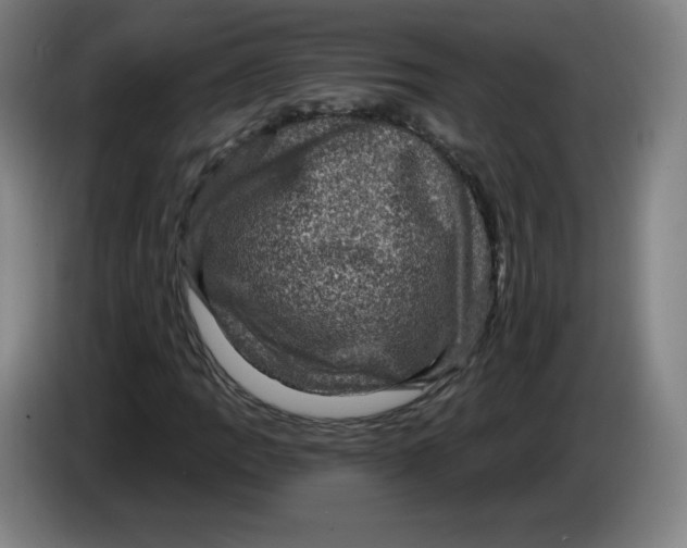 X0000085261109200703301826