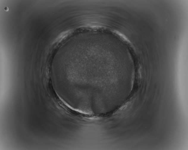 X0000085261110200703301826