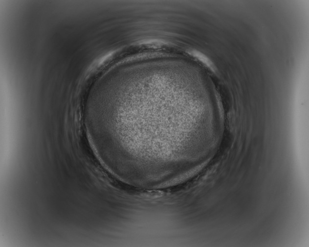 X0000085261111200703301826