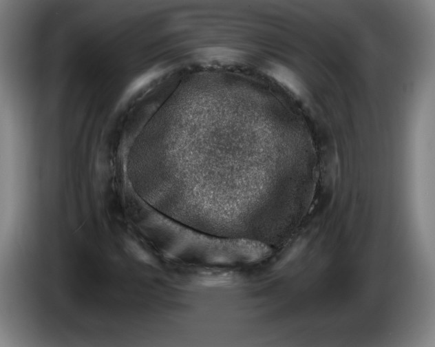 X0000085261112200703301826