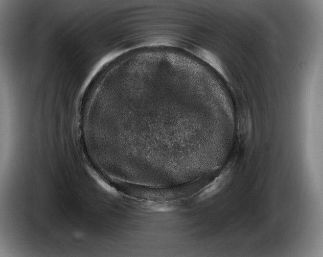 X0000085261116200703301826