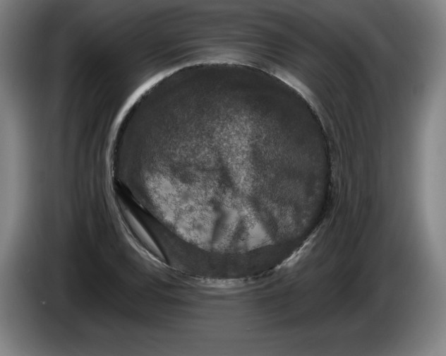 X0000085261120200703301827