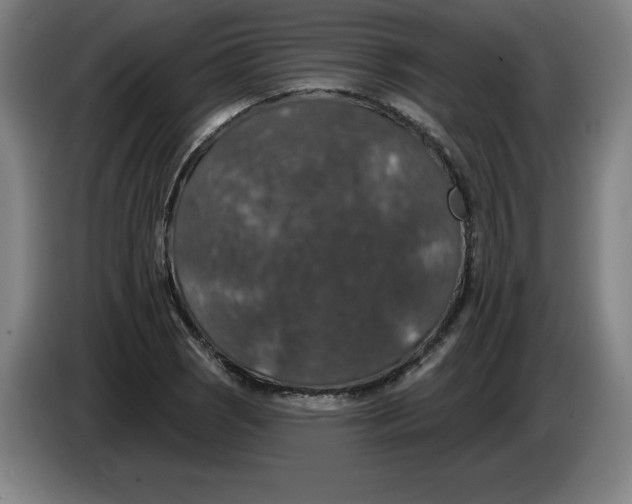 X0000085261121200703301827