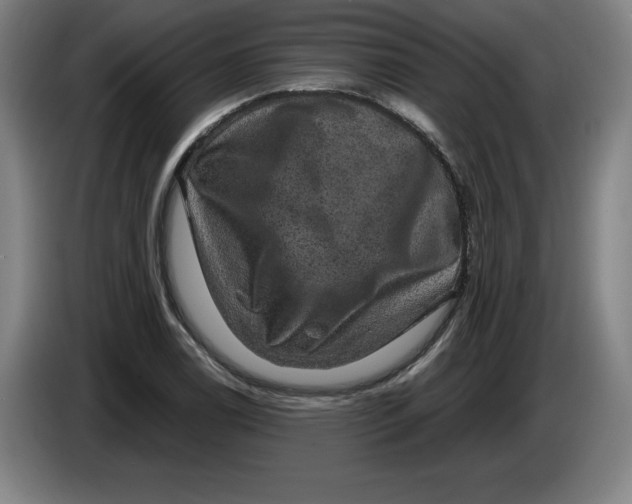 X0000085261122200703301827