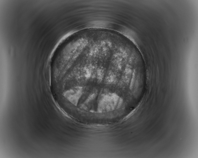 X0000085261123200703301827