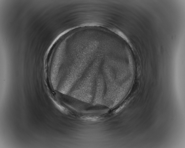 X0000085261124200703301827