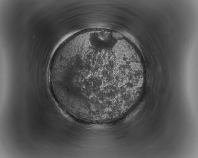 X0000085261125200703301827