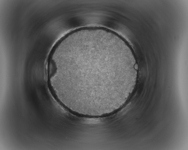 X0000085261126200703301827