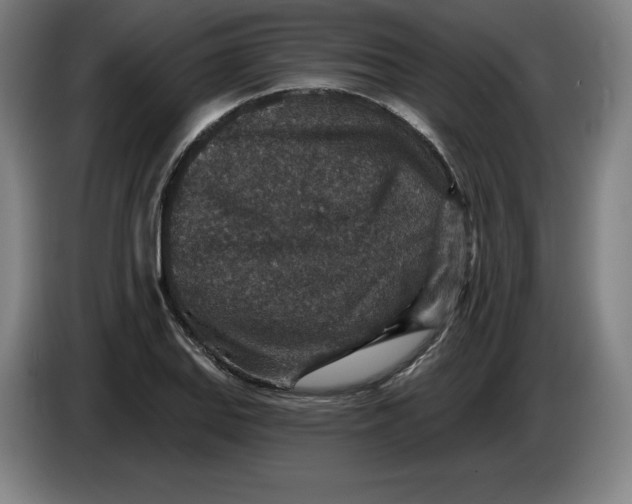 X0000085261127200703301827