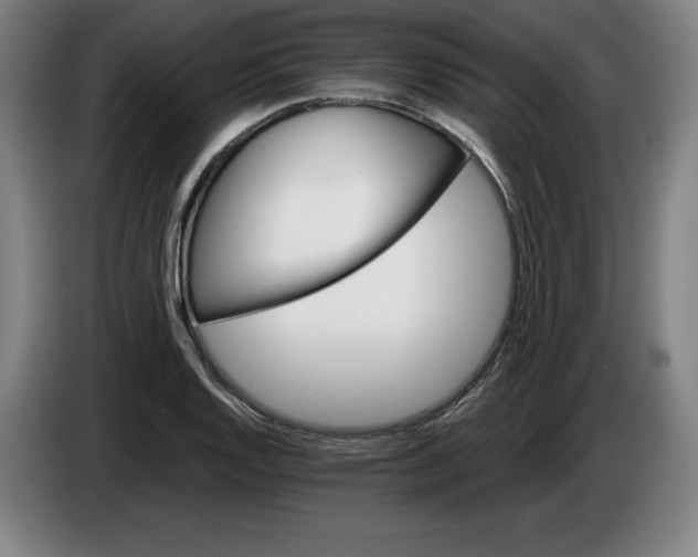 X0000085261128200703301827