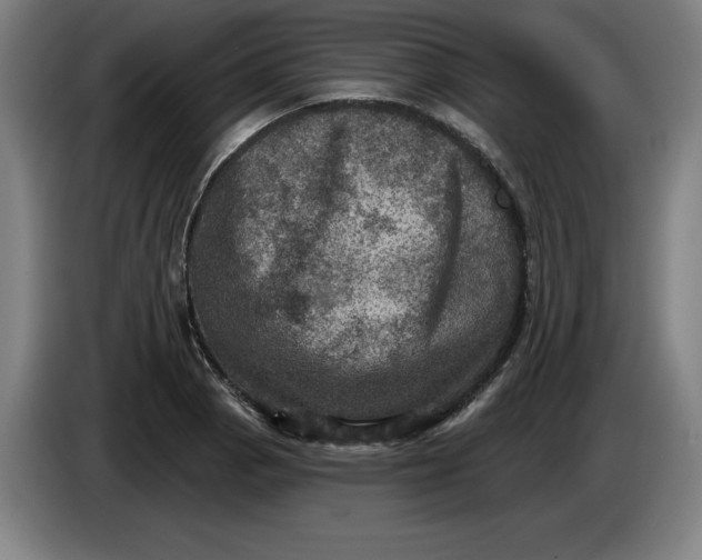 X0000085261129200703301827