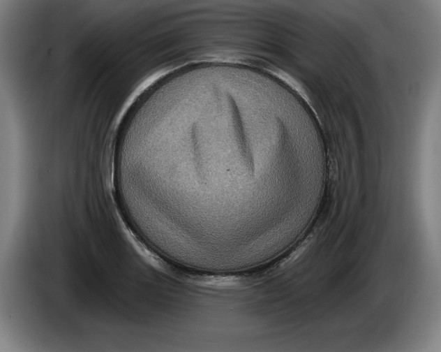 X0000085261131200703301827