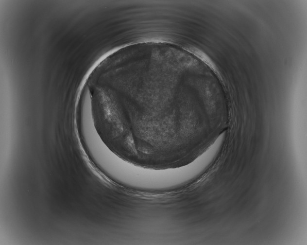 X0000085261132200703301827