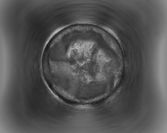 X0000085261133200703301827