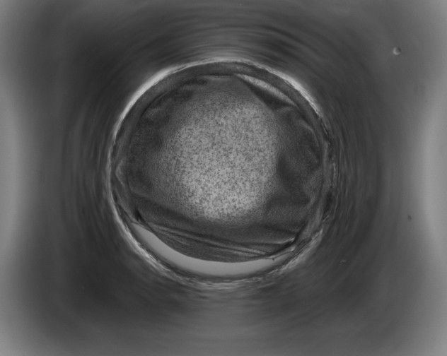 X0000085261134200703301827