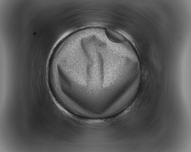 X0000085261135200703301827