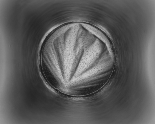 X0000085261136200703301827