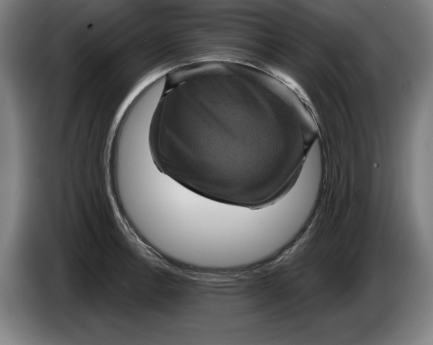 X0000085261138200703301827