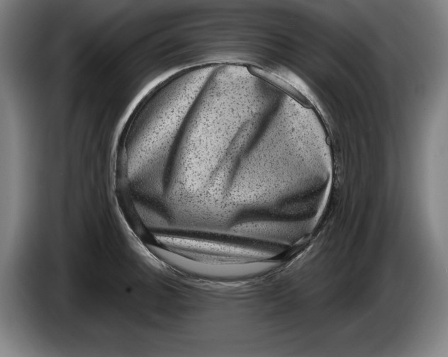 X0000085261140200703301827